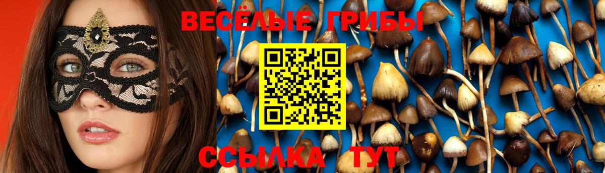 Каннабис Урус-Мартан